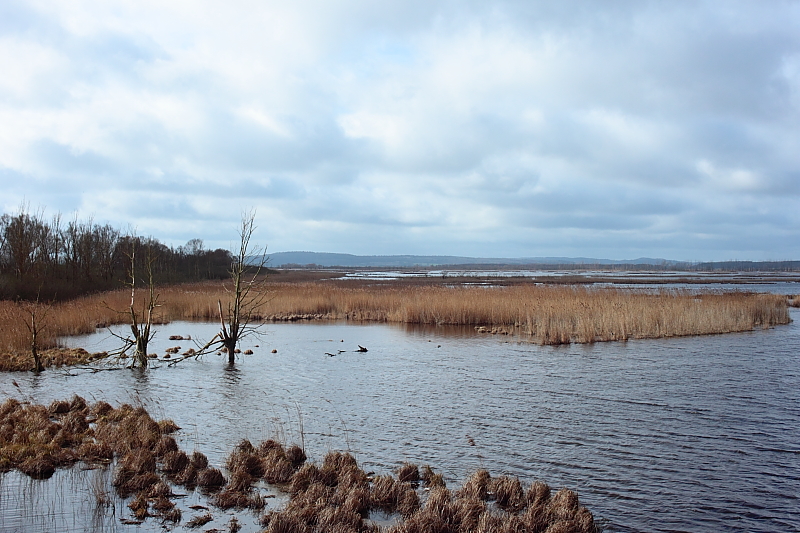 Killikus&reg; Fotographie