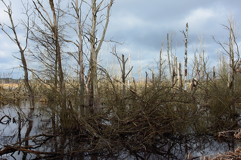 Killikus&reg; Fotographie