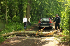 Killikus® Fotographie