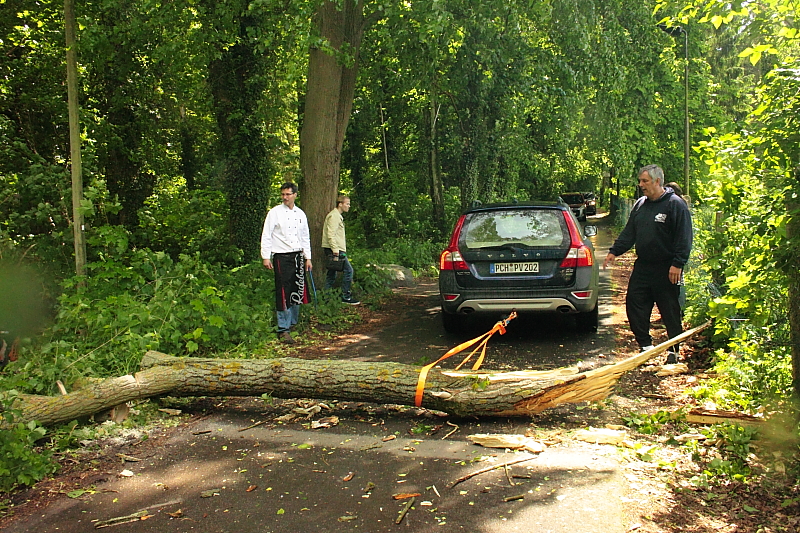 Killikus® Fotographie Killikus® Fotographie