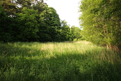 Killikus® Fotographie