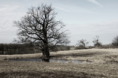 Killikus® Fotographie