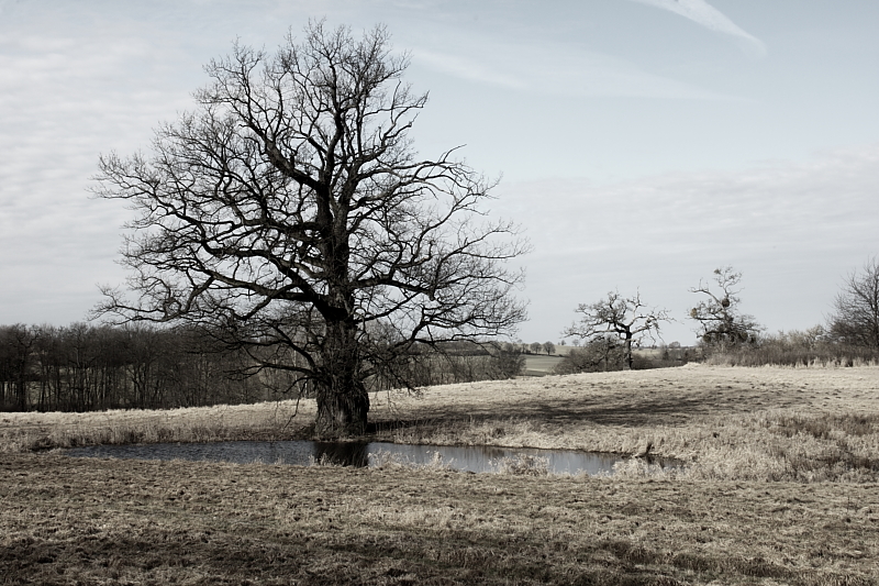 Killikus® Fotographie Killikus® Fotographie