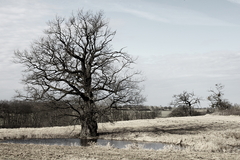 Killikus® Fotographie