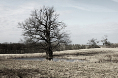 Killikus® Fotographie