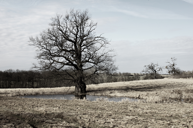 Killikus&reg; Fotographie