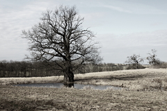 Killikus® Fotographie