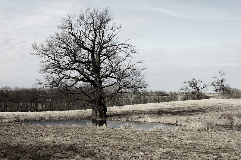 Killikus® Fotographie Killikus® Fotographie