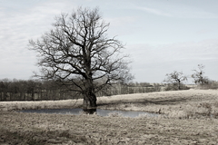 Killikus® Fotographie