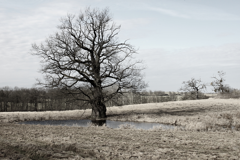 Killikus&reg; Fotographie