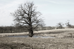 Killikus® Fotographie