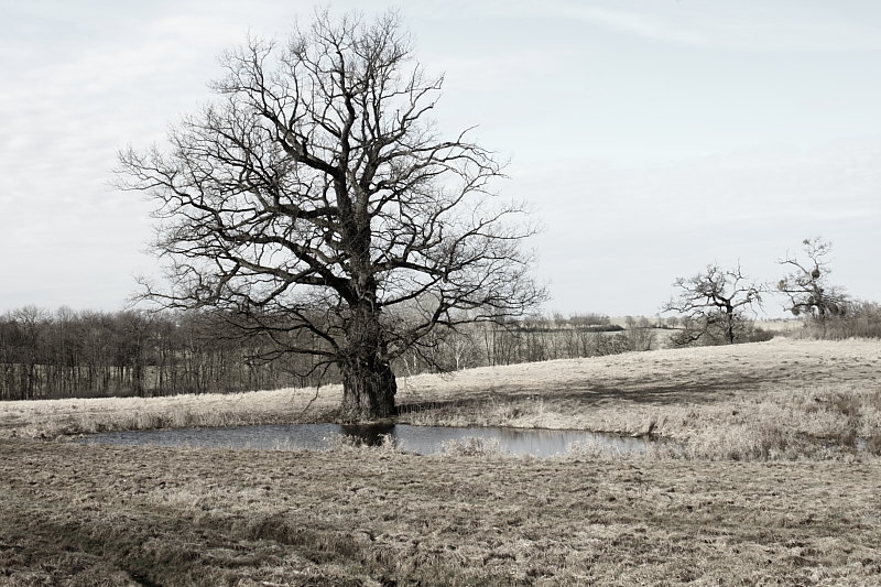 Killikus&reg; Fotographie