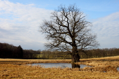 Killikus® Fotographie