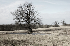 Killikus® Fotographie