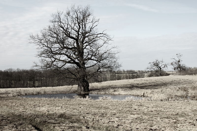 Killikus&reg; Fotographie