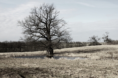 Killikus® Fotographie