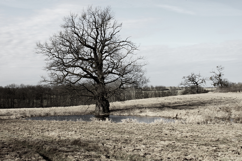 Killikus® Fotographie Killikus® Fotographie