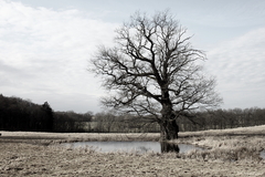 Killikus® Fotographie