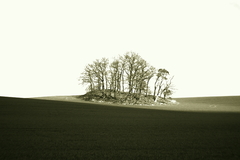 Killikus® Fotographie