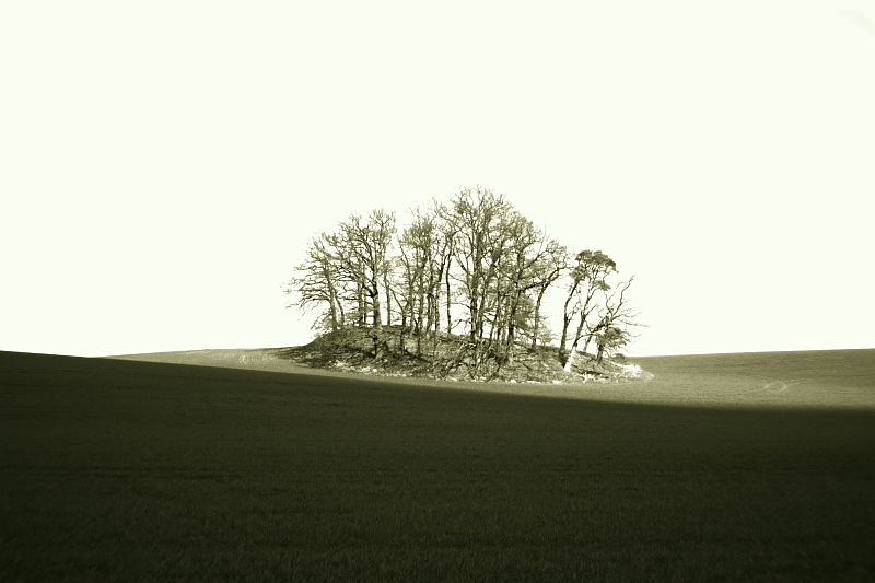 Killikus&reg; Fotographie