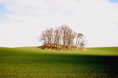 Killikus® Fotographie