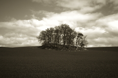 Killikus® Fotographie