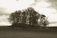 Killikus® Fotographie