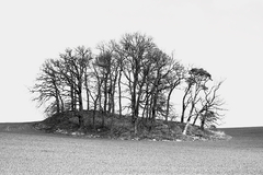 Killikus® Fotographie