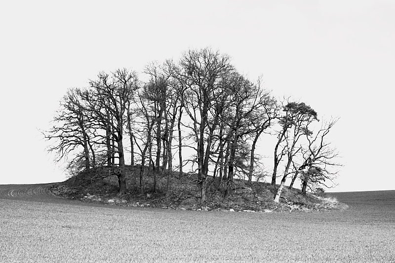 Killikus&reg; Fotographie