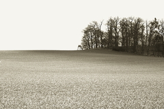 Killikus® Fotographie