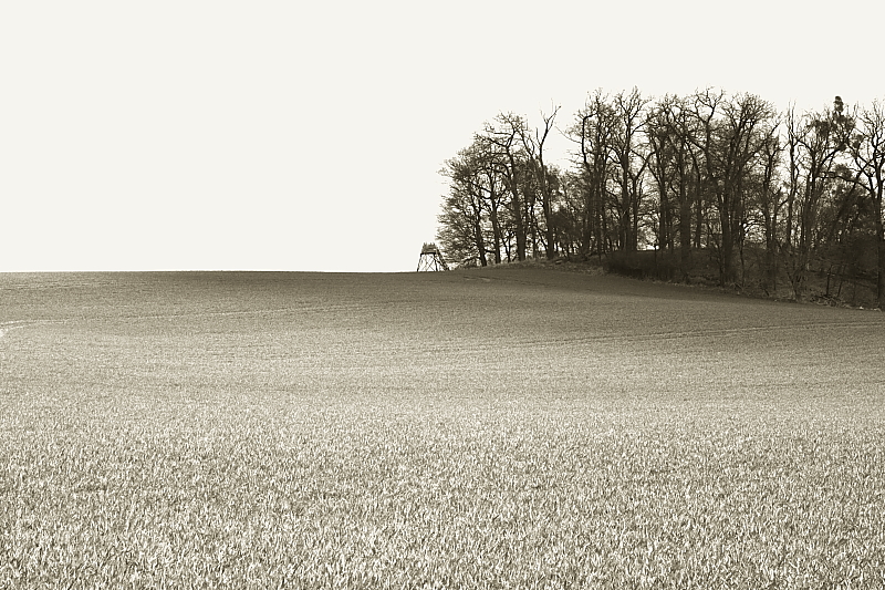 Killikus&reg; Fotographie