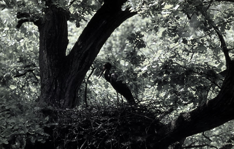 Killikus® Fotographie Killikus® Fotographie