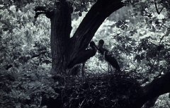 Killikus&reg; Fotographie