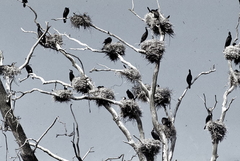 Killikus&reg; Fotographie