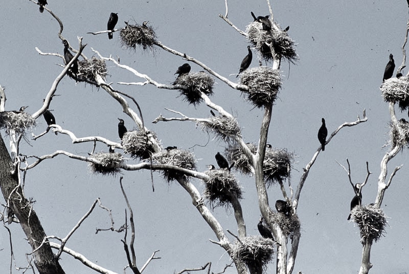 Killikus&reg; Fotographie