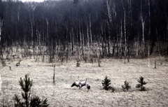 Killikus&reg; Fotographie