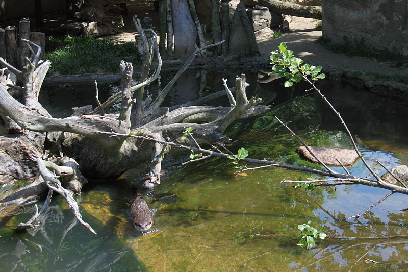 Killikus&reg; Fotographie