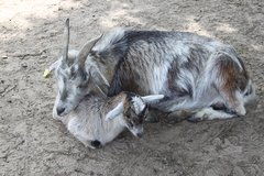 Killikus&reg; Fotographie