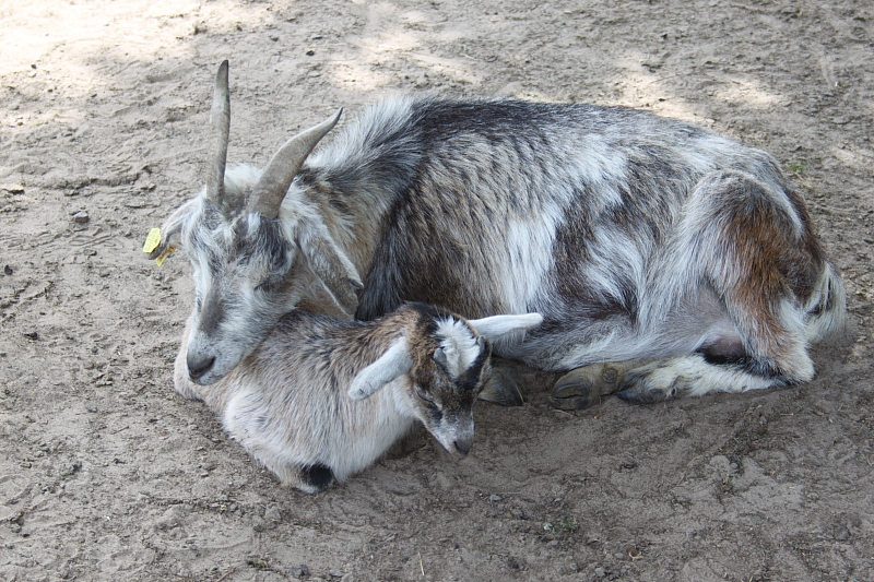 Killikus&reg; Fotographie