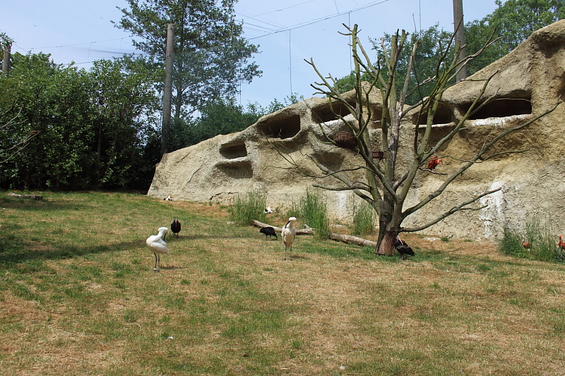 Killikus&reg; Fotographie