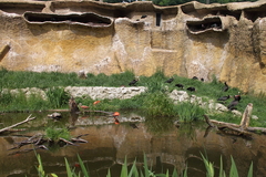 Killikus&reg; Fotographie