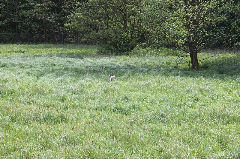 Killikus® Fotographie Killikus® Fotographie