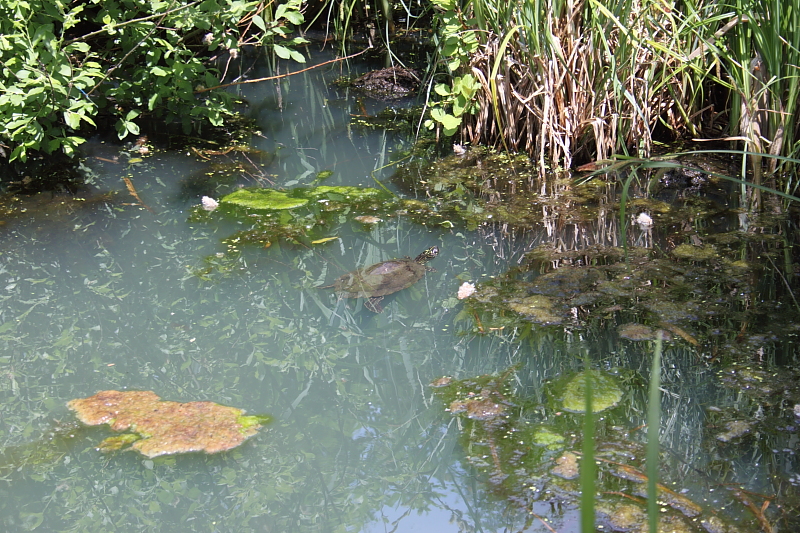 Killikus® Fotographie Killikus® Fotographie