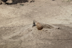 Killikus&reg; Fotographie