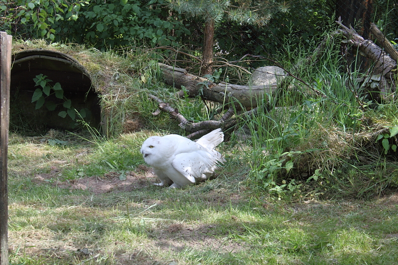 Killikus&reg; Fotographie