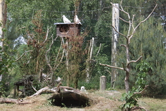 Killikus&reg; Fotographie