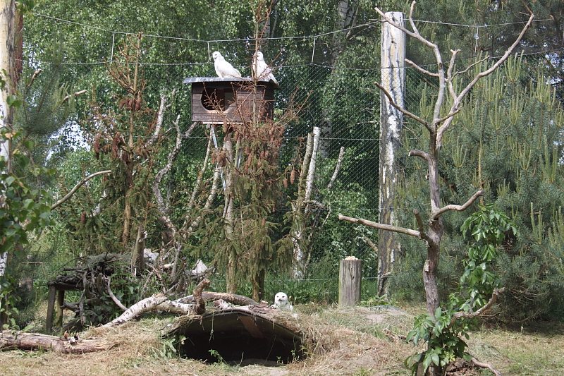 Killikus&reg; Fotographie