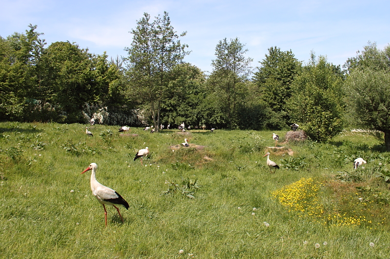 Killikus® Fotographie Killikus® Fotographie