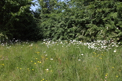 Killikus&reg; Fotographie