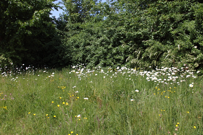 Killikus&reg; Fotographie